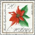 POLAND, FLOWER, Poinsettia, white 1966, 20gr