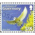 GUERNSEY, BIRD, Common Barn Owl, Tyto alba, blue 2007, UK