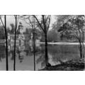 Madrid Parque Retiro Estanque Spain Real Photo ...