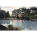 The Domain Ashburton Antique New Zealand Postcard