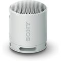 Sony SRS-XB100 Wireless Bluetooth Portable Ligh...