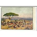 Art RUDOLPH HELLEGREWE Windhoek Postcard by P.M...