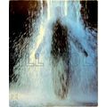 Bill Viola by David A. Ross