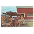 HARVESTING TOBACCO FARMING, ONTARIO, CANADA unu...