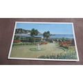Widlake Postcard - Tor Abbey Gardens, Torquay -...