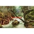 Torrent Walk, Dolgelley, Wales, A304 Valentines...