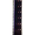 VAMPIRES. Pk MTP - b030d . 1 STRIP OF 5 - 35MM ...