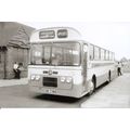 Black & White Photograph of Appleby's Coaches o...