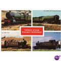 Railway Multiview Postcard Torbay Steam Working...