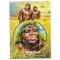 2011 Topps Allen and Ginter Ascent of Man - #AO...