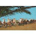 Marruecos Tipico Moroccan Morocco Rifle Display...