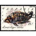 Africa Tanzania 1991 Fish 25/- Used Stamp