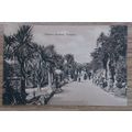 Postcard: Devon, Torquay, Terrace Gardens: c192...
