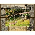 Nashville Tennessee Montage Laser Engraved Wood...