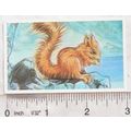 Brooke Bond Going Wild No. 2 red squirrel, Wild...