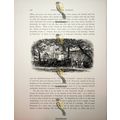 Restaurant At Franchard, France, Book Illustrat...
