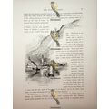 Varenna, Lake Como, Italy, Book Illustration (P...