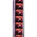 Pk DAU - J - MIX - a 005E. 1 STRIP OF 5 - 35MM ...