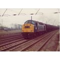 Railway Photo BR Class 40 40185 Winwick 1977 Di...