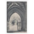 Avenue from North Porch Christchurch Postcard D...
