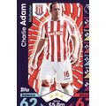 Match Attax 2016/2017 244 Charlie Adam Stoke City