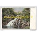 RHAIADR-DU FALLS , DOLGELLY, WALES, 1900s?, Pos...