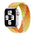 Single Loop Weaving Nylon Replacement Watchband...