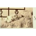 Cute Baby On Sheepskin Rug, RP Photo/Postcard