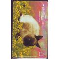 Bunny Tales S'pore TransitLink Train/Bus Card