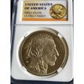 Limited Edition 2024 Non-Currency Coin Liberty Indian Commemorative Gold Plated