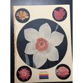 Heat Transfer Iron on Decal set of 5 flowers Wo...