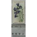 1913 Wills, Alpine Flowers No. 13 Campanula Bau...