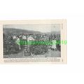 Rose Fields of Eastern Rumelia, Bulgaria, Book ...