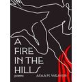 A Fire In The Hills