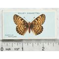 1927 Wills British Butterflies No. 21 Glanville...