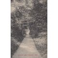 Holywood Park Farnborogh Kent Scary Wooded Lane...