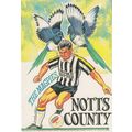 Magpies Notts County Football Club 1992 Season ...