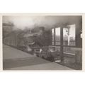 GWR Castle Class 4-6-0 Tenby No 7026 Train Photo