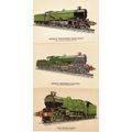 Great Western GWR Railway Castle Class 4079 702...