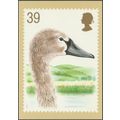 Swans, 39p, Young Mute Swan, 1993 - Royal Mail ...