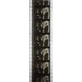 NOTORIOUS. Pk MTP - A018r. 1 STRIP OF 5 - 35MM ...