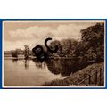 Postcard Babworth Lake Retford Nottinghamshire ...
