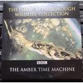 The Amber Time Machine DVD Promo The Mail David...