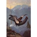 Bird Shot Dying In Air Antique Hunting Blood Sp...