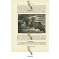 Redman's Bat, Book Illustration (Print), 1884