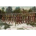 Deer Season Negaunee USA Skinned Animals Butche...