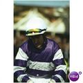 7x5 Pro Racing Photo JOCKEY DARRYLL HOLLAND
