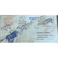 South Africa Airmail 1991 - Austrian Airlines 1