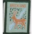 Scout Badge UK - Breckland - White Back (BY03)