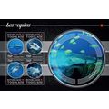 TOGO 2015 SHEET MNH SHARKS TIBURONES REQUINS HA...
